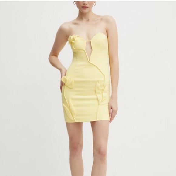 Bardot Dresses & Skirts - Bardot Eleni Flower Detail Mini Dress Yellow